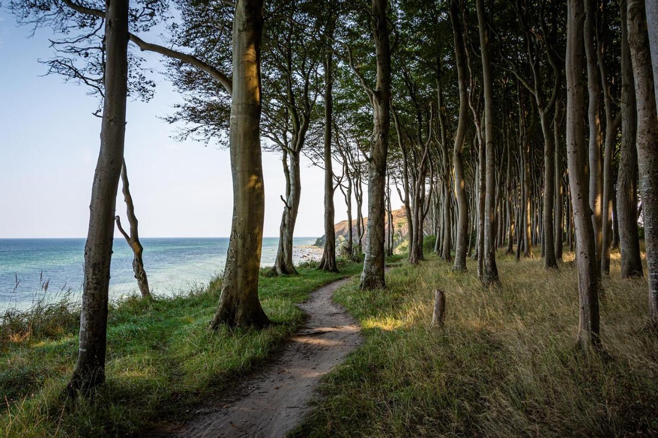 Gemuetliche Ferienresidenz Mit Meerblick Ueber Die Wundervolle Luebecker Bucht Timmendorfer Strand Eksteriør billede